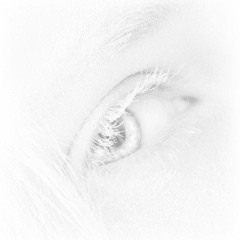 2hollis - two bad (ioneweb REMIX)