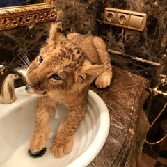 Pvt 👶🏻🐆! - Jotta Dj