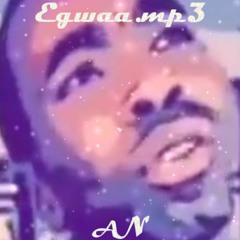 Egwaa.mp3