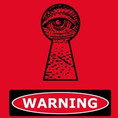 2024 Is the New 1984: Big Brother and the Rise of the Security Industrial Complex