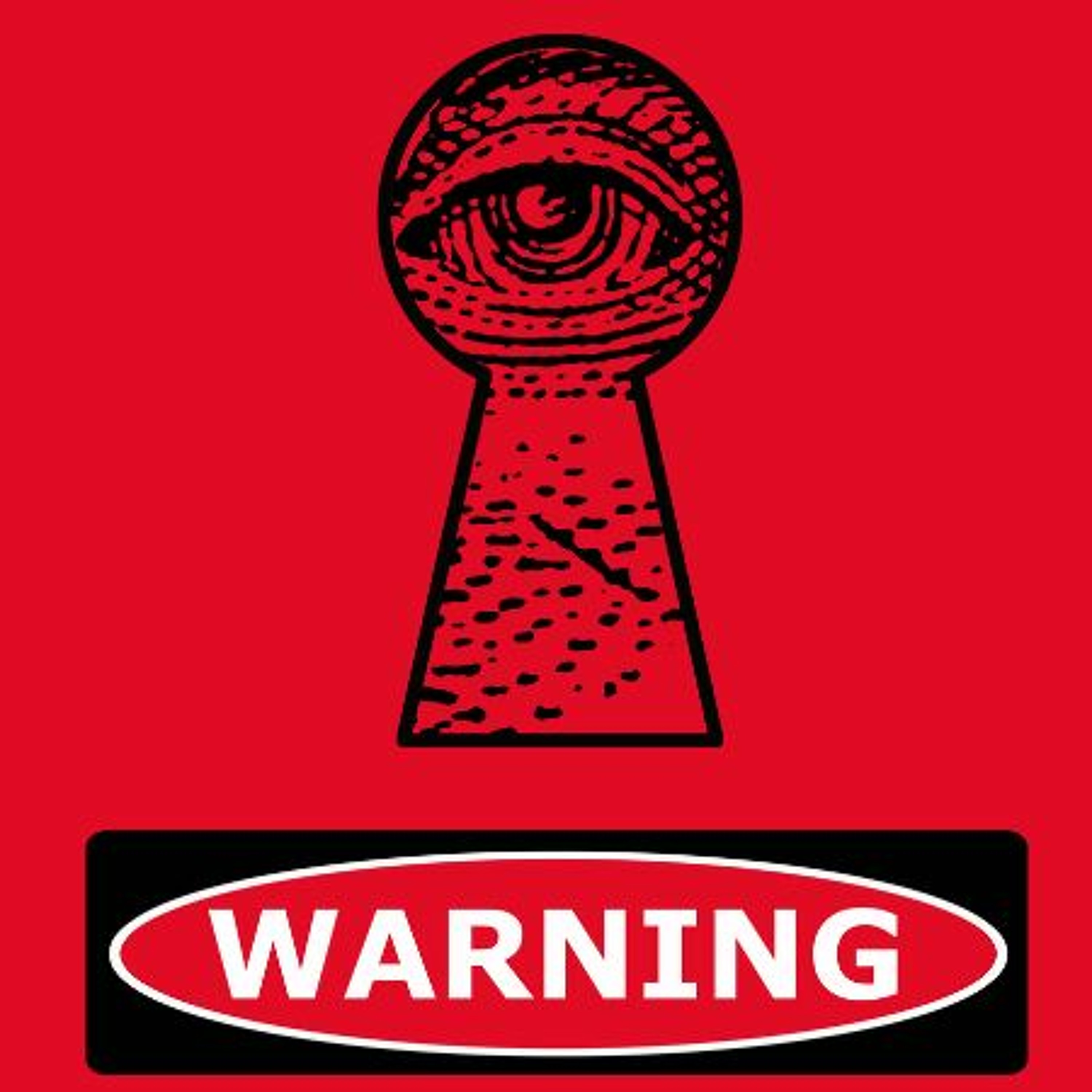 2024 Is the New 1984: Big Brother and the Rise of the Security Industrial Complex