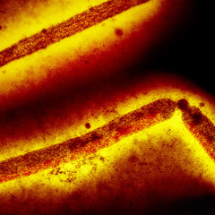 Kicking Off Season 2: Should We Make Viruses More Dangerous – For Science?