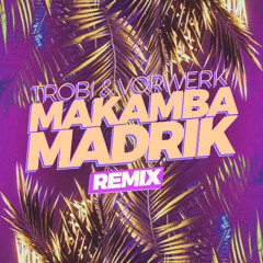 Eminem vs. Trobi, Vorwerk x Madrik - My Name Is Makamba (Gam's Mashup)