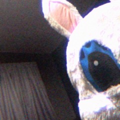 gotohell prod orpheus.