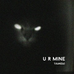 T.Kanizaj - 'U R Mine' [original Mix]