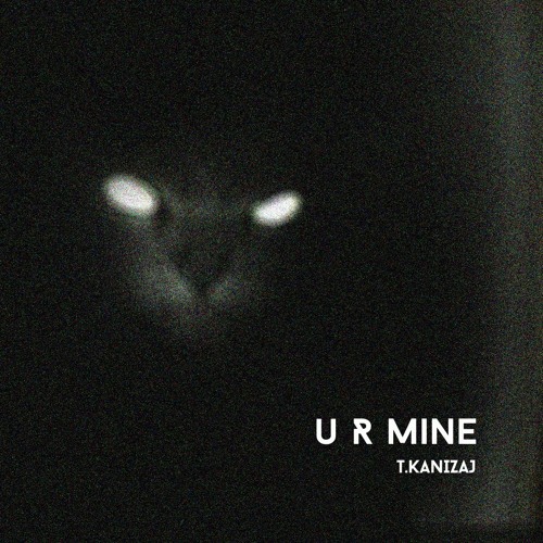 T.Kanizaj - 'U R Mine' [original Mix]