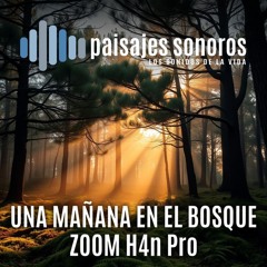 Una mañana en el bosque [Zoom H4n Pro, RODE NT2000]