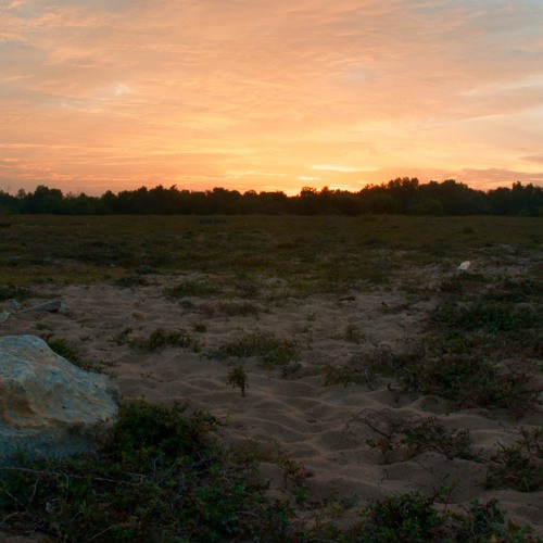 Grasslands before sunrise, Pulau Indah Malaysia