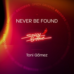 Toni Gomez - Never Be Found (Original Mix)