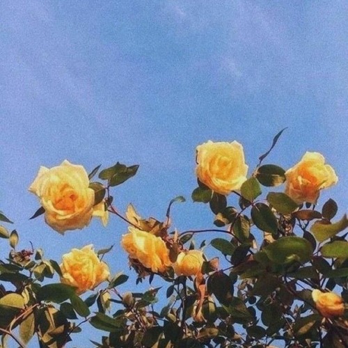 Awkward (っ´ω｀c) ft. Matthew The Kidd, Ikbakimari [prod. GC]
