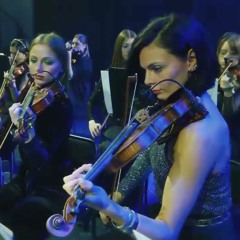 The Dmitry Butenko Orchestra - Freestyler (Bomfunk MC's)