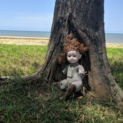 Crystal Castle-crimewave intrumental cover (suoiciv amir)