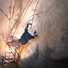 pianeti sintetici | emotion data