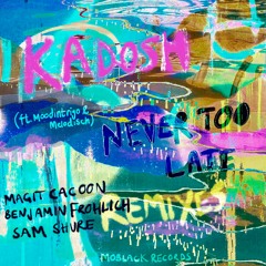 Kadosh - Never Too Late feat.Moodintrigo&Melodisch - Benjamin Fröhlich Remix