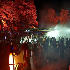 Mystic Creatures Festival 2024 Cosmic Circus Stage|| 07.09.2024