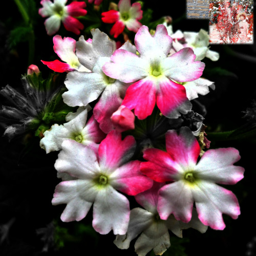 Seven minutes    (The Night Sky)