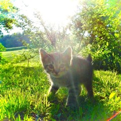 Saturday FEAT KEEM(Sped Up)