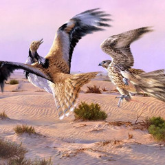 " Falcon Mashup "