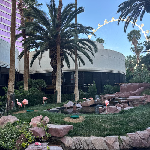 Don't Talk.. Just Dance