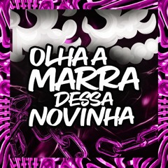MC'S GIBIZINHA , PL ALVES & THOUZEN - OLHA A MARRA DESSA NOVINHA ( PROD. DJ VT AGUILAR )