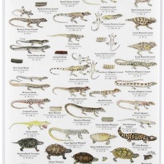 [READ]⚡PDF✔ Mac's Field Guide to Reptiles of North America Laminated Card (Mac's