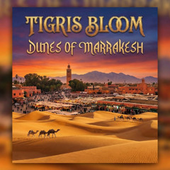 Dunes of Marrakesh
