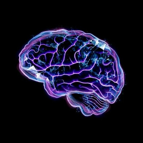 Stream Mind Map by Fernando Gomez | Listen online for free on SoundCloud