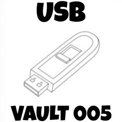 USB VAULT 005