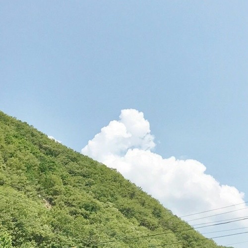 seven