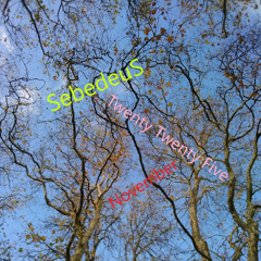 Twenty Twenty Five - An explanation