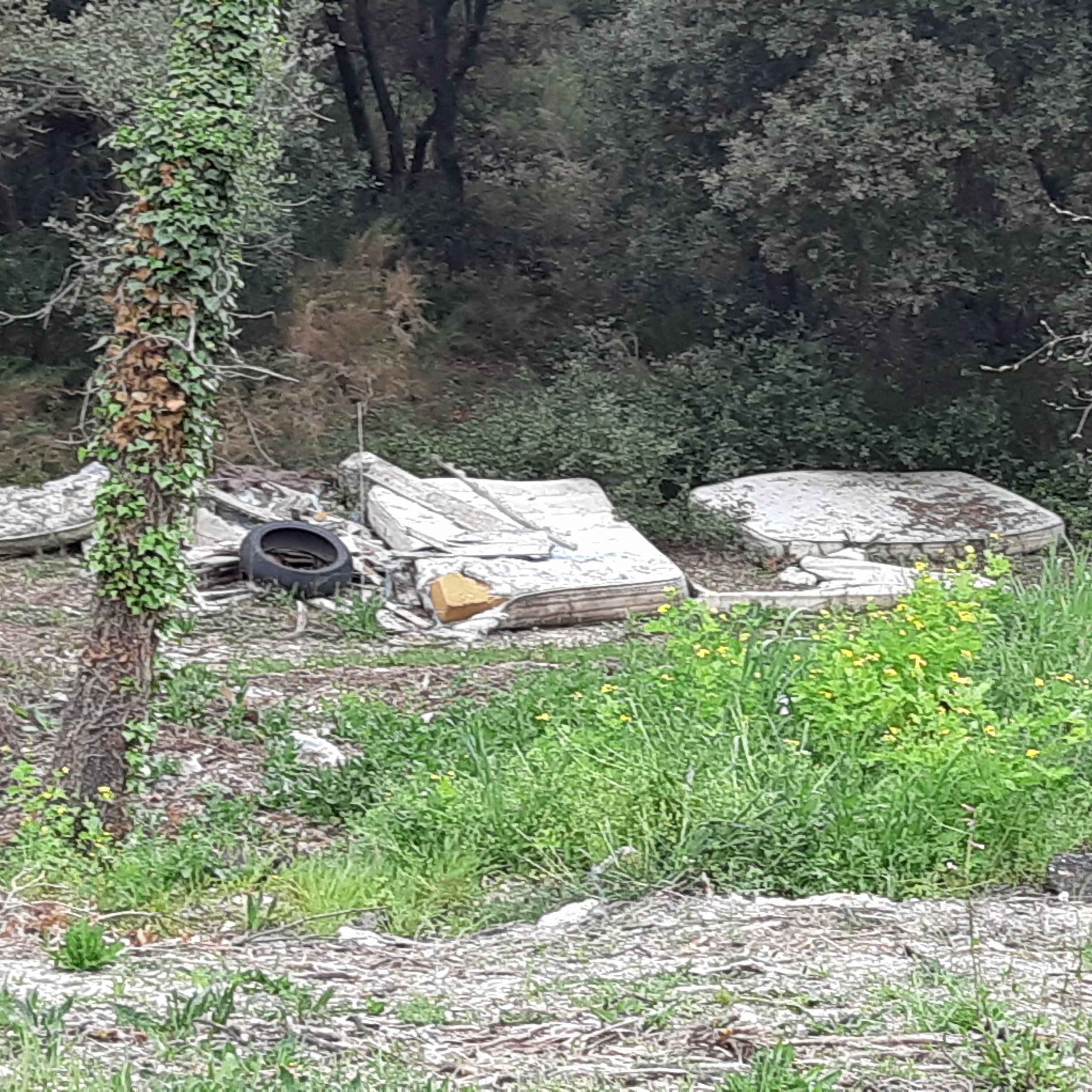 Élodie #20 des déchets partout