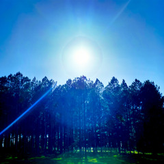 Similar [Prod. Rees]