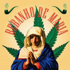 Erva de Santa Maria