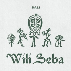 DJ Dali - Wili Seba