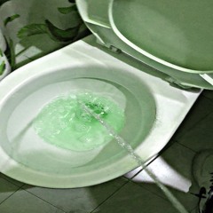 ZORRI ZHORI ZEME BORRO ELTITULO