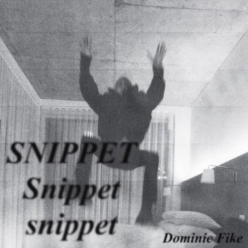 Dominic Fike - Today (Snippet)