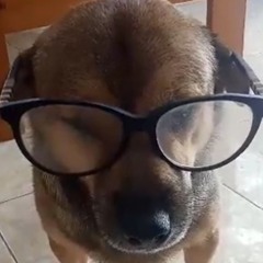 Untitled Playlist