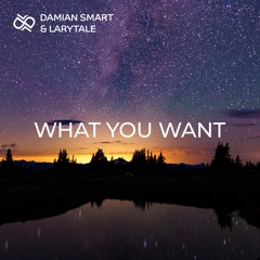 Damian Smart & Larytale - What You Want