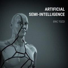 Artificial Semi - Intelligence