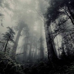 hitech_energyy set  dark psy  hitech  bpm  150  190.mp3