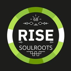 RISE Radio Show Vol. 68 | Mixed by Soulroots