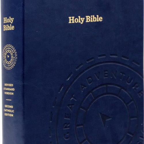 catholic bible download pdf