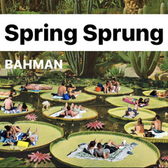Spring Sprung - BAHMAN