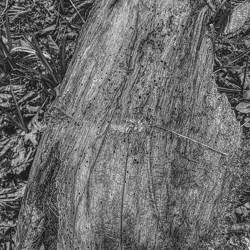 brûlezoné (avec öthann) _ album out on bc