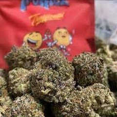 Official Home of Trufflez Weed | Buy Truffle Strains Online - Trufflez Cali