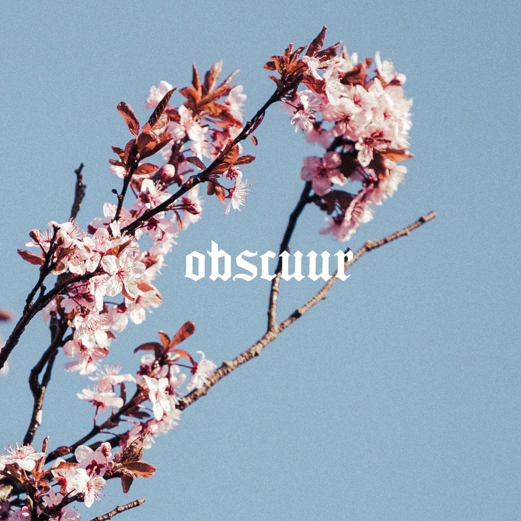 San Regret – Wasabi Subnote