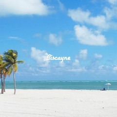 Biscayne (Remix)- Black SVM ft. Lurid OD