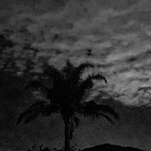 What It Means To Survive (PROD. ERMASHOV)