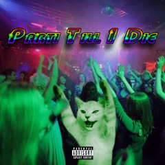 Parti Till I Die (prod. okayjml)