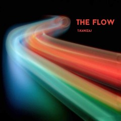 T.Kanizaj- 'The Flow' [Original Mix]